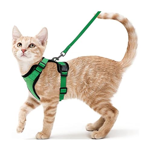 Katzen Geschirr atmungsaktiv - Reflektierendes Katzenhalsband mit Leine, Anti-Ausbruch Sicherheitsgurt für kleine Katzen und Hunde, Haustier Tragegurt für Spaziergang, Klettern, Outdoor (Grün, XS) von Jennytim