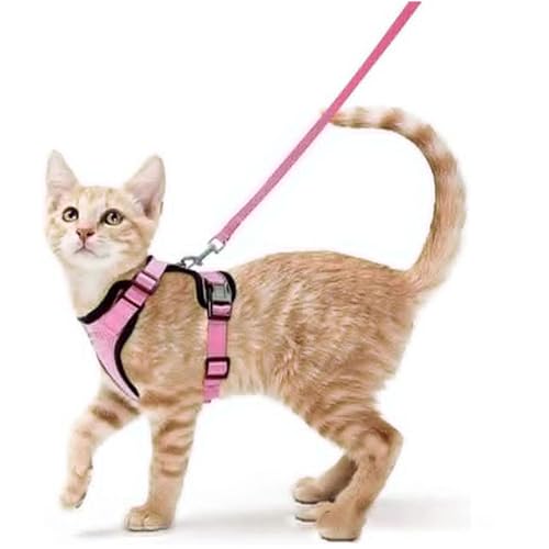 Katzen Geschirr atmungsaktiv - Reflektierendes Katzenhalsband mit Leine, Anti-Ausbruch Sicherheitsgurt für kleine Katzen und Hunde, Haustier Tragegurt für Spaziergang, Klettern, Outdoor (Rosa, S) von Jennytim