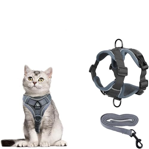 Katzengeschirr mit Leine Ausbruchsicher, Atmungsaktives Katzen Geschirr mit Reflektoren Leine für Hunde und Katzen Sicherheitsgurt für Spaziergänge Adjustierbar & Bequem (Grau, S) von Jennytim