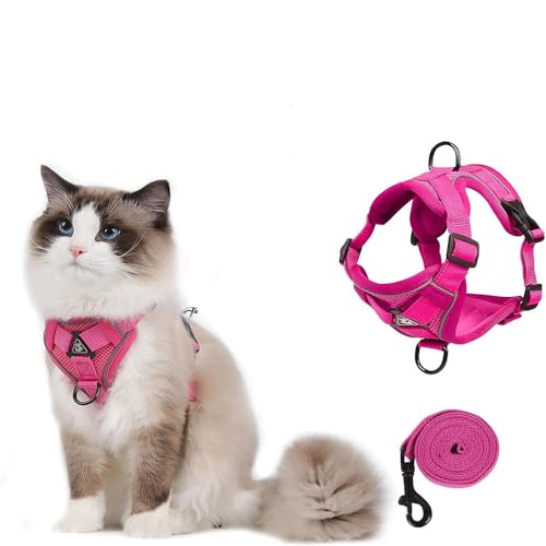 Katzengeschirr mit Leine Ausbruchsicher, Atmungsaktives Katzen Geschirr mit Reflektoren Leine für Hunde und Katzen Sicherheitsgurt für Spaziergänge Adjustierbar & Bequem (Rosa, S) von Jennytim