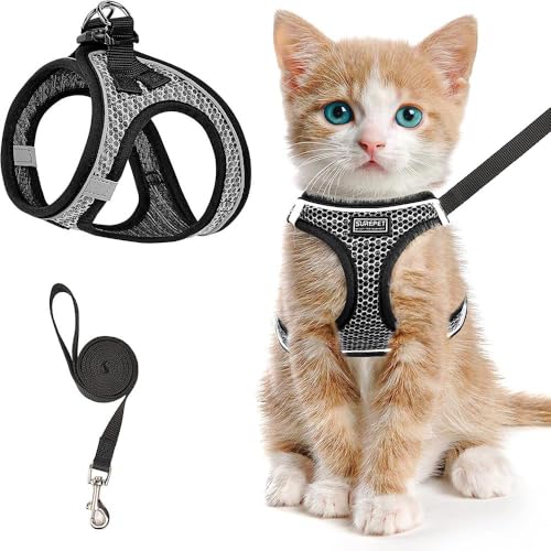 Katzengeschirr und Leine zum Spazierengehen, verstellbares Sicherheitsgeschirr für Hunde, Anti Ausbruch Brustgurt mit reflektierenden Streifen, perfekt für Spaziergänge, Training (Schwarz, M) von Jennytim
