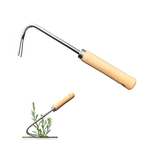 Unkrautstecher aus Edelstahl mit Holzgriff - Manueller Weeder, Wurzeljäter & Unkrautgabel für Gartenarbeit: Graben, Umpflanzen, Jäten Unkrautstecher aus Edelstahl mit Holzgriff - Manueller Weeder, Wurzeljäter & Unkrautgabel für Gartenarbeit: Graben, Umpflanzen, Jäten von Jennytim