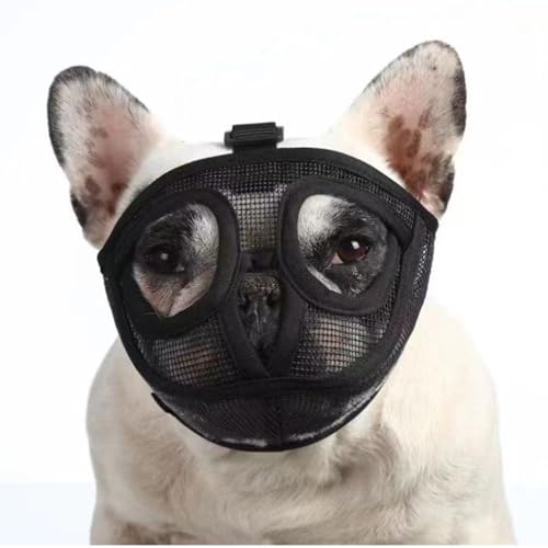 Jeorywoet Französische Bulldogge Mündung atmungsaktives Netz kurzer Schnauze Hund Mündung Verstellbares weiches Hund Mündung Hundemaske, um zu verhindern, DASS beißend kaust Jeorywoet Französische Bulldogge Mündung atmungsaktives Netz kurzer Schnauze Hund Mündung Verstellbares weiches Hund Mündung Hundemaske, um zu verhindern, DASS beißend kaust von Jeorywoet