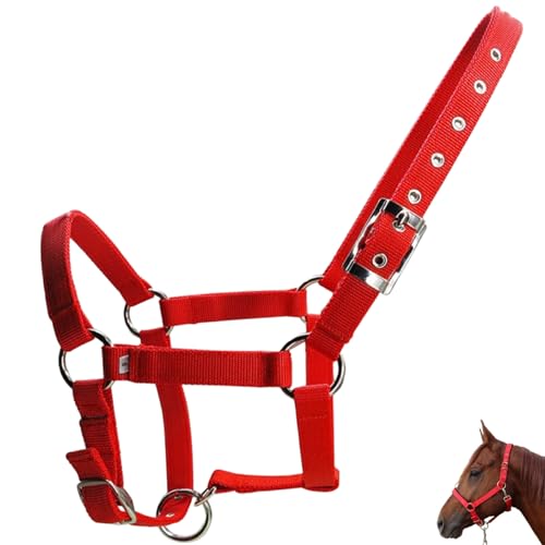 Jeorywoet Pferdehalter 25 mm breit verdickter PP -Gurtbetthöfter mit Metallschnallen verstellbare leichte Seilhäller für Pferde tragbares Mini -Pferd, Mini Pferd Halfter Jeorywoet Pferdehalter 25 mm breit verdickter PP -Gurtbetthöfter mit Metallschnallen verstellbare leichte Seilhäller für Pferde tragbares Mini -Pferd, Mini Pferd Halfter von Jeorywoet