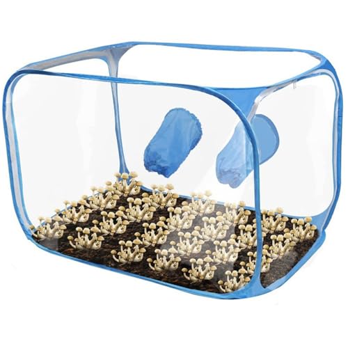 Pilzanbauzelt, noch Luftbox, 36x23x23 Zoll transparentes Pilzanbauzelt, PVC -Anbau, Faltbare tragbare Box für Spores Gartenbauzubehör Pilzanbauzelt, noch Luftbox, 36x23x23 Zoll transparentes Pilzanbauzelt, PVC -Anbau, Faltbare tragbare Box für Spores Gartenbauzubehör von Jeorywoet