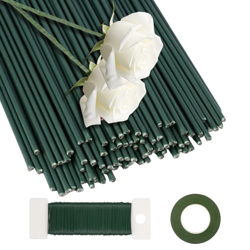 Jeqqinuz 50 Stücke Blumendraht Grün, Basteldraht 2mm Durchmesser, Floristendraht zum Basteln 30cm, Blumenstamm Steckdraht mit Klebeband und Draht für DIY Blumenbouquets Handwerk Blumenarrangements von Jeqqinuz
