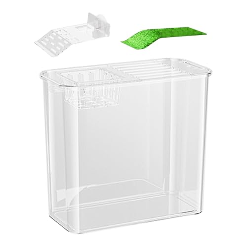 Fish Tank | Betta Fish Tank | Aquarium Starter Kit | Compact Fish Tank | Decorative Fish Bowl | Turtle Tank Starter Ornamental Fish Bowl Multi-Function Areas Small Aquarium Aquarium Starter Fish Tank | Betta Fish Tank | Aquarium Starter Kit | Compact Fish Tank | Decorative Fish Bowl | Turtle Tank Starter Ornamental Fish Bowl Multi-Function Areas Small Aquarium Aquarium Starter von Jeruytgh