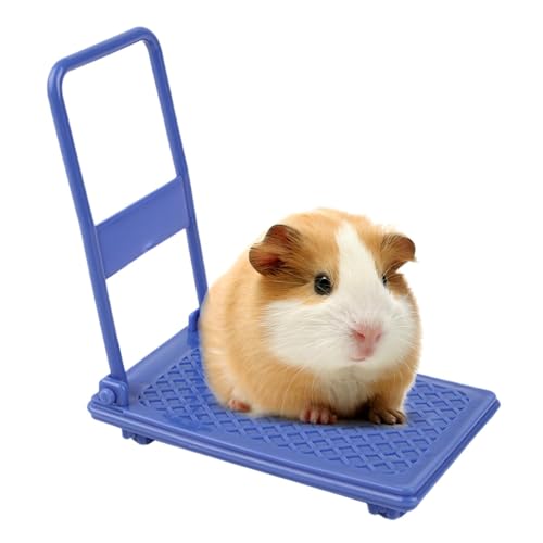 Hamster Cage Accessories | Small Animal Toys | Hamster Cart Toy | Hamster Enrichment Toys | Interactive Hamster Toys | Hamster Enrichment Toy Small Cart Chinchilla Bed Pet Toy Hamster Cage Accessories Hamster Cage Accessories | Small Animal Toys | Hamster Cart Toy | Hamster Enrichment Toys | Interactive Hamster Toys | Hamster Enrichment Toy Small Cart Chinchilla Bed Pet Toy Hamster Cage Accessories von Jeruytgh