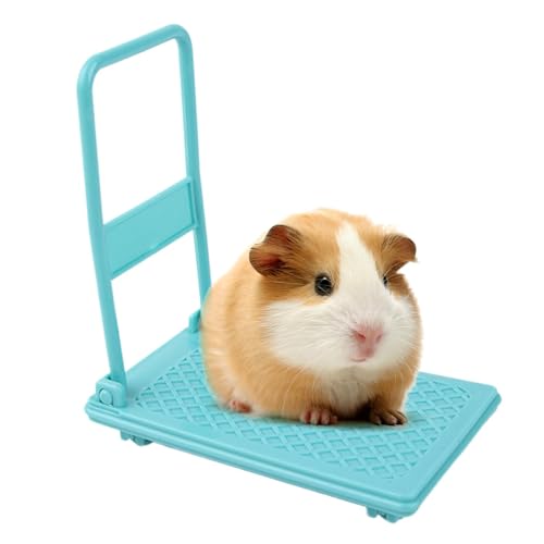 Hamster Cage Accessories | Small Animal Toys | Hamster Cart Toy | Hamster Enrichment Toys | Interactive Hamster Toys | Hamster Enrichment Toy Small Cart Chinchilla Bed Pet Toy Hamster Cage Accessories Hamster Cage Accessories | Small Animal Toys | Hamster Cart Toy | Hamster Enrichment Toys | Interactive Hamster Toys | Hamster Enrichment Toy Small Cart Chinchilla Bed Pet Toy Hamster Cage Accessories von Jeruytgh
