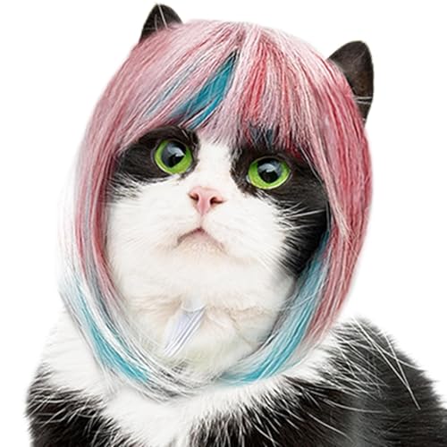 Jeruytgh Lustige Katzenperücke, Cosplay -Perücke für Katze - Lustige Blaue Pink -Pet -Cosplay -Perücke | Fotografie Reisen Geting Hunde Kopfbedeckung für Rollenspielen im Freien im Freien für von Jeruytgh
