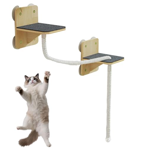 Jeruytgh Regale Für Kletternde Katzen | Indoor Kletterwand Mit Kratzpfosten - Natürlicher Kratzturm Mit Stufen Und Katzenspielzeug Für Innen Und Außenbereich Fenster Tür Und Zuhause Zum Spielen Jeruytgh Regale Für Kletternde Katzen | Indoor Kletterwand Mit Kratzpfosten - Natürlicher Kratzturm Mit Stufen Und Katzenspielzeug Für Innen Und Außenbereich Fenster Tür Und Zuhause Zum Spielen von Jeruytgh