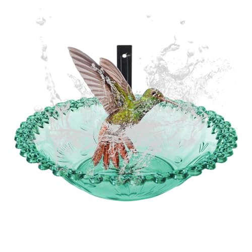 Jeruytgh Vogeltränke für draußen – 22,9 cm Vogeltränke, Wandhalterung, Gartenschüssel, Blumenform, Tierfutterspender, transparentes wetterfestes Becken für Papageien, Sittiche, Kolibri Jeruytgh Vogeltränke für draußen – 22,9 cm Vogeltränke, Wandhalterung, Gartenschüssel, Blumenform, Tierfutterspender, transparentes wetterfestes Becken für Papageien, Sittiche, Kolibri von Jeruytgh
