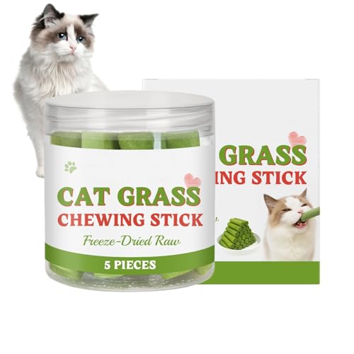 Katzengras-Beißstab, Katzen-Leckerli-Sticks, Kausnack für Katzen, natürliches Mittel gegen Haarballen, beruhigende Bio-Formel, 1, ideal für Komfort im Haus und unterwegs Katzengras-Beißstab, Katzen-Leckerli-Sticks, Kausnack für Katzen, natürliches Mittel gegen Haarballen, beruhigende Bio-Formel, 1, ideal für Komfort im Haus und unterwegs von Jeruytgh