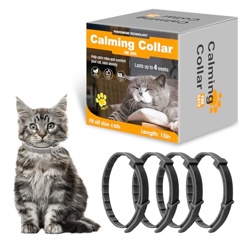 Beruhigendes Halsband für Katzen, verstellbarer Schnuller, Angstlinderung, Stress-Pheromon-Halsband, bequeme Katzenhalsbänder, langanhaltende 30-Tage-Wirkung, 4 Stück Beruhigendes Halsband für Katzen, verstellbarer Schnuller, Angstlinderung, Stress-Pheromon-Halsband, bequeme Katzenhalsbänder, langanhaltende 30-Tage-Wirkung, 4 Stück von Jerylota