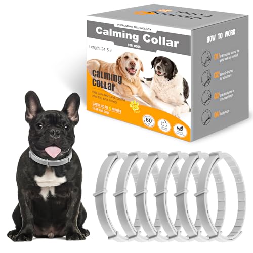 Beruhigendes Hundehalsband für Hunde, Pheromon, beruhigend, lindert Angst, Stress, Trennung, hält 120 Tage, lindert schlechtes Verhalten, 63,5 cm, Größe flexibel, verstellbar, für alle kleinen Beruhigendes Hundehalsband für Hunde, Pheromon, beruhigend, lindert Angst, Stress, Trennung, hält 120 Tage, lindert schlechtes Verhalten, 63,5 cm, Größe flexibel, verstellbar, für alle kleinen von Jerylota