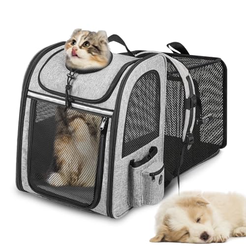 Cat Carrier Rucksäcke,Expandable Pet Carrier Rucksack für Katzen kleine Hunde Welpen Fit bis zu 18 Pfund,große Hundetransporter Rucksack,Faltbare Welpen Rucksack Träger für Reisen Wandern Camping Cat Carrier Rucksäcke,Expandable Pet Carrier Rucksack für Katzen kleine Hunde Welpen Fit bis zu 18 Pfund,große Hundetransporter Rucksack,Faltbare Welpen Rucksack Träger für Reisen Wandern Camping von Jerylota