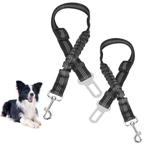Anschnallgurt Hund Auto, 2 Stück Premium Hundegurt Auto mit Rückdämpfung, Hundeanschnaller fürs Auto, Einstellbar Hunde Anschnallgurt Auto für Kleine und Mittlere Hunde und Alle Autotypen, Schwarz von Jesinor