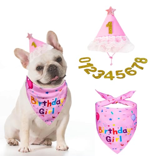 Jestrem Hunde-Geburtstagsparty-Set, rosa Geburtstagsmädchen-Halstuch, Geburtstagshut mit Stern und Zahlen, Hundegeburtstagsdekorationen für große, mittelgroße und kleine Hunde Jestrem Hunde-Geburtstagsparty-Set, rosa Geburtstagsmädchen-Halstuch, Geburtstagshut mit Stern und Zahlen, Hundegeburtstagsdekorationen für große, mittelgroße und kleine Hunde von Jestrem