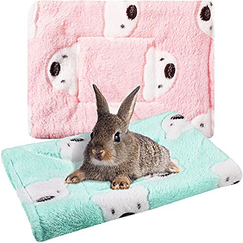 2 Stück Meerschweinchen Hamster Warme Matten Bett Hamster Schlafunterlage Eichhörnchen Igel Weiches Kissen Kaninchen Chinchilla Bett Matte Hausnest (grün, rosa) von Jetec