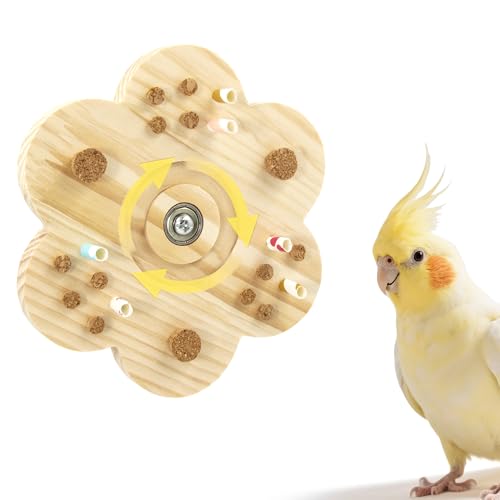 360 ° drehbarer Spinner Vogel Kauspielzeug Spielen, Schnabel Schleifen Vogelspielzeug für Sittiche Holz, Sittich Spielzeug für Käfig Kleine Vogel und Mittlere Vögel, Wellensittich Spielzeug 360 ° drehbarer Spinner Vogel Kauspielzeug Spielen, Schnabel Schleifen Vogelspielzeug für Sittiche Holz, Sittich Spielzeug für Käfig Kleine Vogel und Mittlere Vögel, Wellensittich Spielzeug von Jevnd