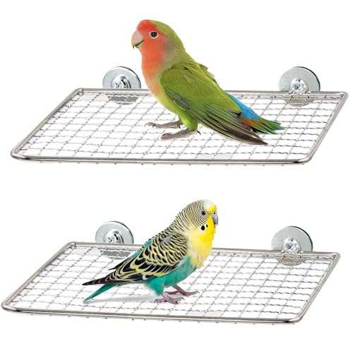 Jevnd 2 x Edelstahl-Vogel-Sitzstangen für Käfig, offenes Gitter, leicht zu reinigen, Krallenfreundlicher Griff, Sittich-Sitzstangen, flache Vogel-Plattform-Sitzstange für Nymphensittiche, Sittiche von Jevnd