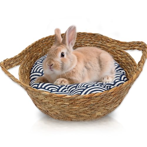 Jevnd Großes Kaninchenbett für große Kaninchen mit warmem Kissen, 2-in-1 natürlich gewebtes Kaninchenbett, groß für drinnen zum Spielen, Schlafen und Krallenschleifen, gemütliche Kleintierbetten für Jevnd Großes Kaninchenbett für große Kaninchen mit warmem Kissen, 2-in-1 natürlich gewebtes Kaninchenbett, groß für drinnen zum Spielen, Schlafen und Krallenschleifen, gemütliche Kleintierbetten für von Jevnd