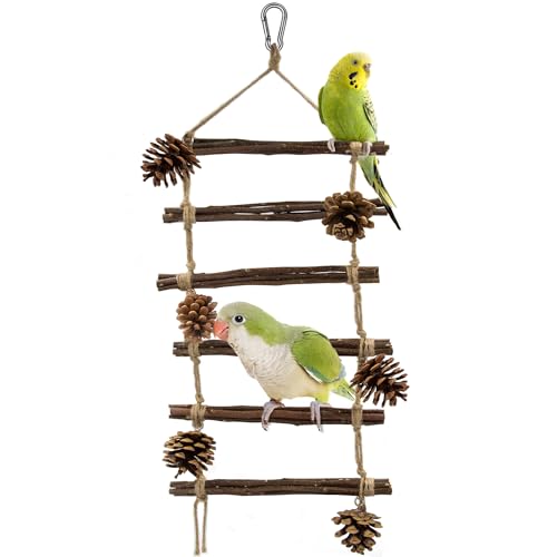 Jevnd Mehrstufige Vogelleiter für Käfig mit Tannenzapfen, Kauspielzeug, große Papageienspielzeug-Leiter aus Holz für mehrere Vögel, Klettern, Kauen und Spielen, natürliche Hartholz-Sitzstange für von Jevnd