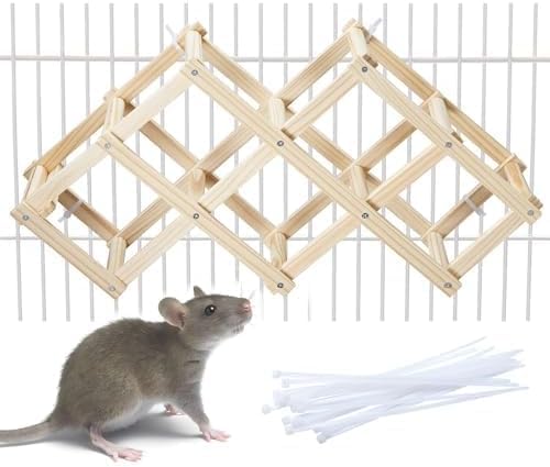Jevnd Ratten-Kletterspielzeug aus Holz, natürliches Haustier-Rattenkäfig-Zubehör, Kletterleiter, ausgefallene Rattenbereicherung, Spielzeugaktivitäten, hängende Nagetier-Spielzeug für Haustier-Ratten Jevnd Ratten-Kletterspielzeug aus Holz, natürliches Haustier-Rattenkäfig-Zubehör, Kletterleiter, ausgefallene Rattenbereicherung, Spielzeugaktivitäten, hängende Nagetier-Spielzeug für Haustier-Ratten von Jevnd