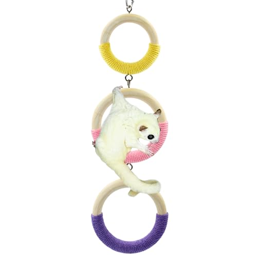 Jevnd Sugar Glider Kletterspielzeug, 3-Ring Zuckergleiter Käfig Anreicherung Spielzeug mit weichem Baumwollseil, Zuckergleiter Käfig Zubehör Hängeschaukel für Ratten, Eichhörnchen, Vögel, und andere von Jevnd