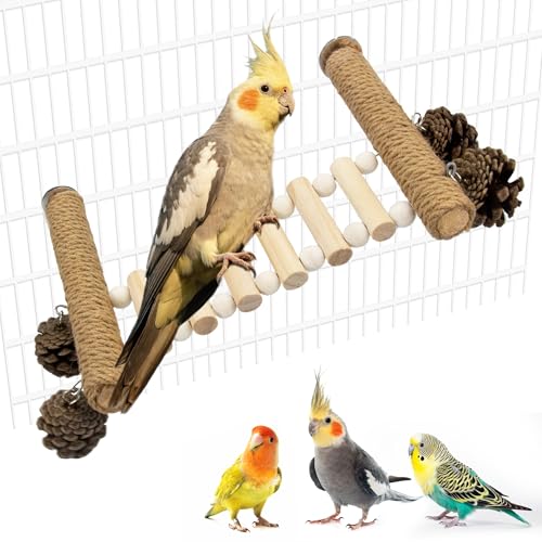 Vogel-Sitzstange aus Naturholz von Jevnd