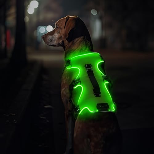Jewyow Hundegeschirr Leuchtend, Wiederaufladbare LED Hundegeschirr, Led Geschirr für Hunde mit Weicher Griff, 3 Einstellbare Modus, Wasserdicht für Mittelgroße, Große Hund, Green-L Jewyow Hundegeschirr Leuchtend, Wiederaufladbare LED Hundegeschirr, Led Geschirr für Hunde mit Weicher Griff, 3 Einstellbare Modus, Wasserdicht für Mittelgroße, Große Hund, Green-L von Jewyow