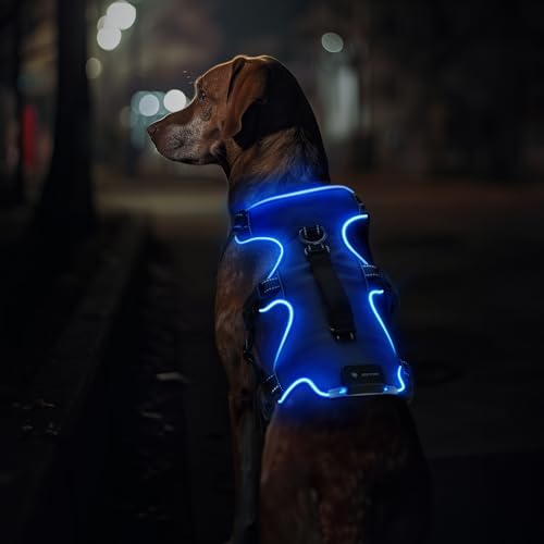 Jewyow Hundegeschirr Leuchtend, Wiederaufladbare LED Hundegeschirr, Led Geschirr für Hunde mit Weicher Griff, 3 Einstellbare Modus, Wasserdicht für Mittelgroße, Große Hund,Blau-M Jewyow Hundegeschirr Leuchtend, Wiederaufladbare LED Hundegeschirr, Led Geschirr für Hunde mit Weicher Griff, 3 Einstellbare Modus, Wasserdicht für Mittelgroße, Große Hund,Blau-M von Jewyow