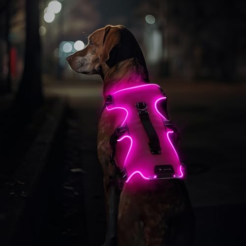 Jewyow Hundegeschirr Leuchtend, Wiederaufladbare LED Hundegeschirr, Led Geschirr für Hunde mit Weicher Griff, 3 Einstellbare Modus, Wasserdicht für Mittelgroße, Große Hund Pink-M Jewyow Hundegeschirr Leuchtend, Wiederaufladbare LED Hundegeschirr, Led Geschirr für Hunde mit Weicher Griff, 3 Einstellbare Modus, Wasserdicht für Mittelgroße, Große Hund Pink-M von Jewyow