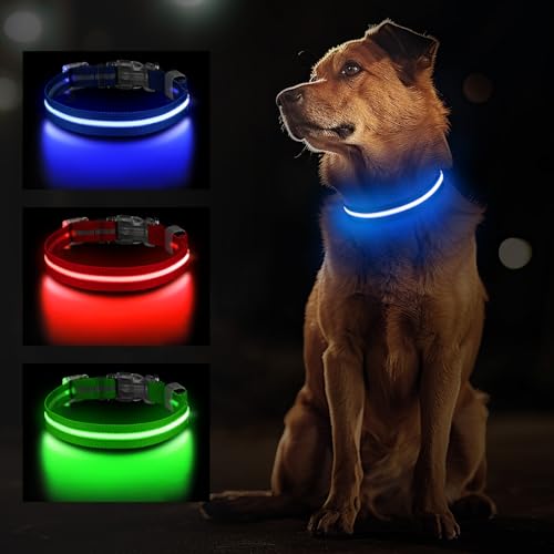 Jewyow Leuchthalsband Hund, Wiederaufladbares LED Hundehalsband für Kleine, Mittelgroße & Große Hunde, Verstellbares Hundehalsband Leuchtend mit Wasserdicht, 3 Modi, Blau-S Jewyow Leuchthalsband Hund, Wiederaufladbares LED Hundehalsband für Kleine, Mittelgroße & Große Hunde, Verstellbares Hundehalsband Leuchtend mit Wasserdicht, 3 Modi, Blau-S von Jewyow