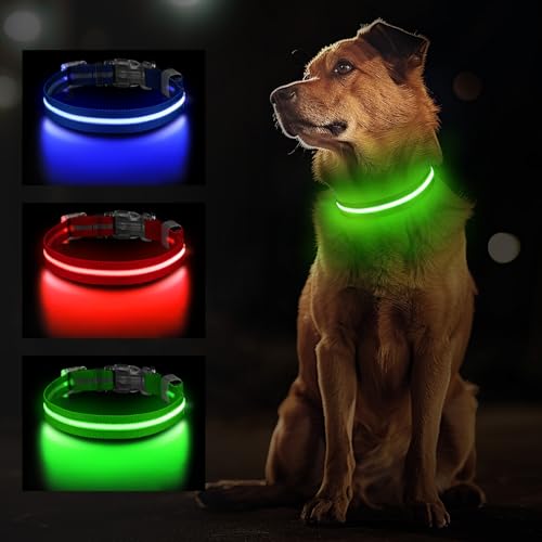Jewyow Leuchthalsband Hund, Wiederaufladbares LED Hundehalsband für Kleine, Mittelgroße & Große Hunde, Verstellbares Hundehalsband Leuchtend mit Wasserdicht, 3 Modi, Grün-M Jewyow Leuchthalsband Hund, Wiederaufladbares LED Hundehalsband für Kleine, Mittelgroße & Große Hunde, Verstellbares Hundehalsband Leuchtend mit Wasserdicht, 3 Modi, Grün-M von Jewyow