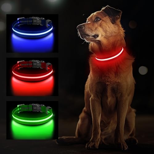Jewyow Leuchthalsband Hund, Wiederaufladbares LED Hundehalsband für Kleine, Mittelgroße & Große Hunde, Verstellbares Hundehalsband Leuchtend mit Wasserdicht, 3 Modi, Rot-L von Jewyow