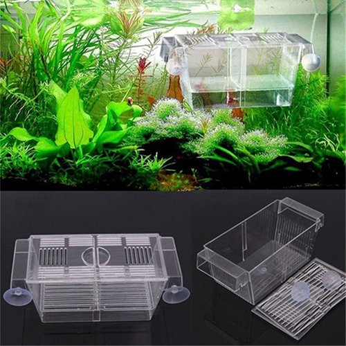 Jiacheng29 Guppy Doppelzuchtfalle, für Aquarien, Brutkasten Jiacheng29 Guppy Doppelzuchtfalle, für Aquarien, Brutkasten von Jiacheng29