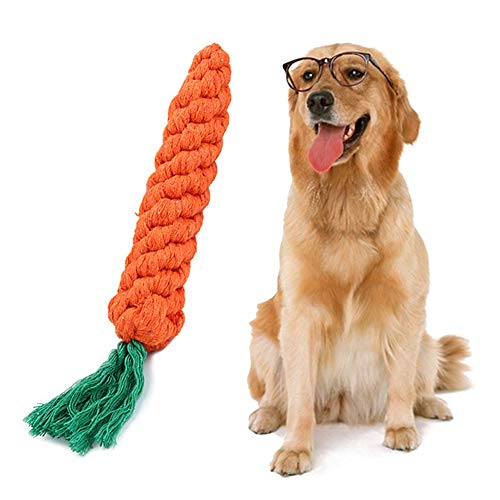 Jiacheng29_ Hundespielzeug, Karottenform, Baumwollseil, Zahnreinigung, Kauspielzeug für Welpen, Hunde (Karotte) von Jiacheng29_