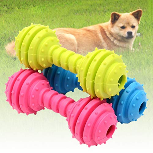 Jiacheng29_ Hundespielzeug kreatives Hundespielzeug für Hunde und Katzen, Gummi-Spike, Barbell, Kauen, Zahnreinigung, Haustierzubehör für Welpen und Hunde (zufällige Farbe) von Jiacheng29_