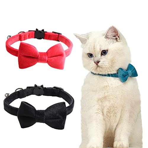 Katzenhalsbänder mit Glöckchen und Fliege, bequemes Samt-Katzenhalsband mit niedlicher Sicherheitsschnalle, verstellbares Haustierhalsband für Kätzchen, Welpen, Halszubehör für den täglichen Gebrauch von JiangYanus