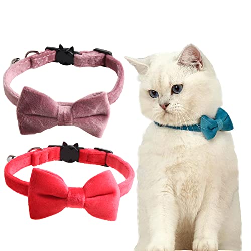 Katzenhalsbänder mit Glöckchen und Fliege, bequemes Samt-Katzenhalsband mit niedlicher Sicherheitsschnalle, verstellbares Haustierhalsband für Kätzchen, Welpen, Halszubehör für den täglichen Gebrauch Katzenhalsbänder mit Glöckchen und Fliege, bequemes Samt-Katzenhalsband mit niedlicher Sicherheitsschnalle, verstellbares Haustierhalsband für Kätzchen, Welpen, Halszubehör für den täglichen Gebrauch von JiangYanus