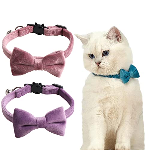 Katzenhalsbänder mit Glöckchen und Fliege, bequemes Samt-Katzenhalsband mit niedlicher Sicherheitsschnalle, verstellbares Haustierhalsband für Kätzchen, Welpen, Halszubehör für den täglichen Gebrauch, Katzenhalsbänder mit Glöckchen und Fliege, bequemes Samt-Katzenhalsband mit niedlicher Sicherheitsschnalle, verstellbares Haustierhalsband für Kätzchen, Welpen, Halszubehör für den täglichen Gebrauch, von JiangYanus
