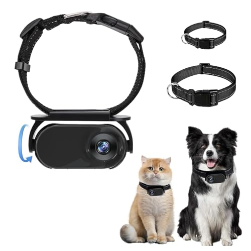 Jiawu 1080P-Katzenkamerahalsband, 120°-Weitwinkel-Körperkamera für Katzen, Mini-Sportkamera, Haustierkamera mit 8-GB-Karte, Hundehalsbandkamera für Videoaufzeichnungen, Katzen, Hunde Jiawu 1080P-Katzenkamerahalsband, 120°-Weitwinkel-Körperkamera für Katzen, Mini-Sportkamera, Haustierkamera mit 8-GB-Karte, Hundehalsbandkamera für Videoaufzeichnungen, Katzen, Hunde von Jiawu