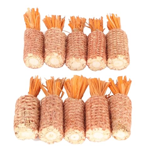 Jiawu Kaninchen-Maiskolben-Spielzeug, Essbare Färbung, 10 Stück, Interaktives, Sicheres Hamster-Maiskolben-Spielzeug, Karottenform für Papageien (Orange S-Größe) von Jiawu