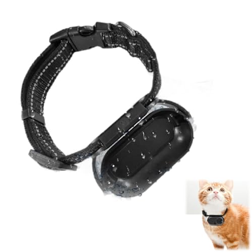 Jiawu Katzenhalsband-Kamera, HD 1080P Haustier-Kamerahalsband mit Videoaufzeichnung, 170° Weitwinkel-Hunde-Tracker-Halsband, M ini-Körperkamera für Katze, Hund, Draußen, Drinnen Jiawu Katzenhalsband-Kamera, HD 1080P Haustier-Kamerahalsband mit Videoaufzeichnung, 170° Weitwinkel-Hunde-Tracker-Halsband, M ini-Körperkamera für Katze, Hund, Draußen, Drinnen von Jiawu