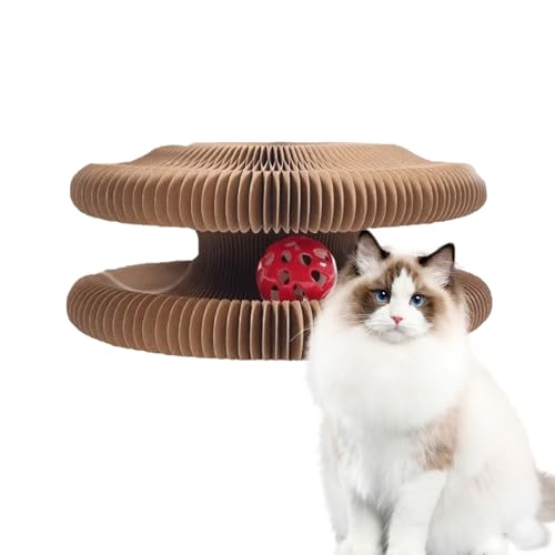 Jiimhte Katzenkratzer, Cat Scratch Pad,Katzenspielzeug kratzen mit Glockenball - Interaktive Klauenversorgung, mentales körperliches Training Spiel für kleine mittelgroße Tiere Haustiere Jiimhte Katzenkratzer, Cat Scratch Pad,Katzenspielzeug kratzen mit Glockenball - Interaktive Klauenversorgung, mentales körperliches Training Spiel für kleine mittelgroße Tiere Haustiere von Jiimhte