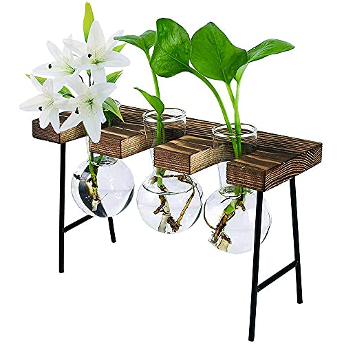 Jiklophg Desktop Plant Terrarium mit HolzstäNder 3 Zwiebelvasen Glas Pflanzgefäß für Pflanzen Home Garden Office Dekoration von Jiklophg