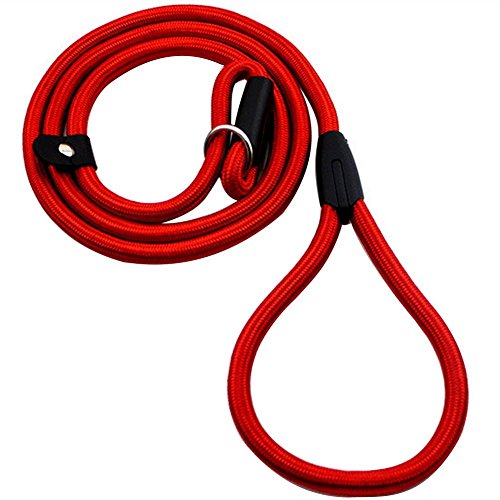 Jiklophg Pet Collarin Nylon-Seil, rutschend, für Hunde, Training, Walking Lead mit P, 1 cm, Kette, Rot von Jiklophg