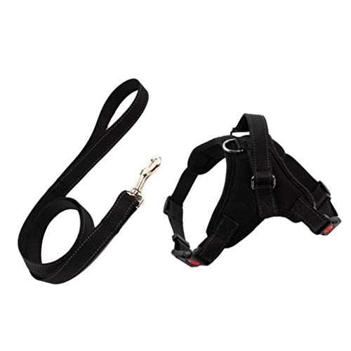 Jikoiuty Hunde Geschirr Leine Set Einstellbare Atmungsaktive Hund Katze Kragen Weste Harness für Hund Welpen Haustier Brust Gurt Hunde ZubehöR Schwarz L von Jikoiuty