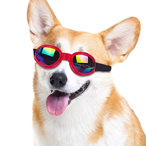 Brille für Hunde, verstellbarer Riemen, UV-Schutz, winddicht, geeignet für mittelgroße und große Hunde Jildouf Brille für Hunde, verstellbarer Riemen, UV-Schutz, winddicht, geeignet für mittelgroße und große Hunde Jildouf von Jildouf